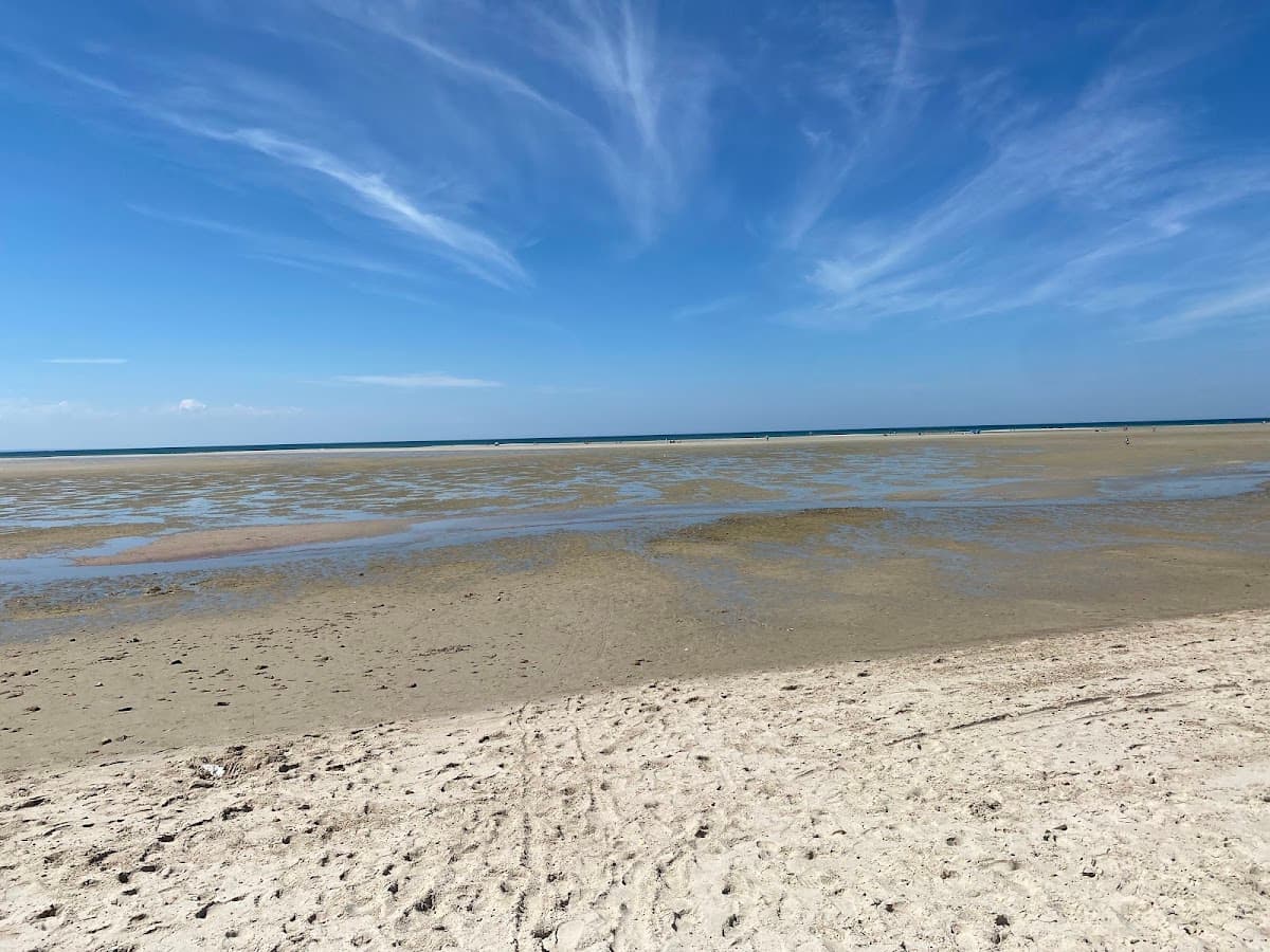 Chapin Memorial Beach — photo 1