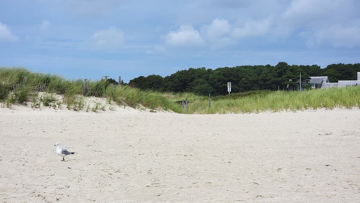 Bass River Beach — photo 1