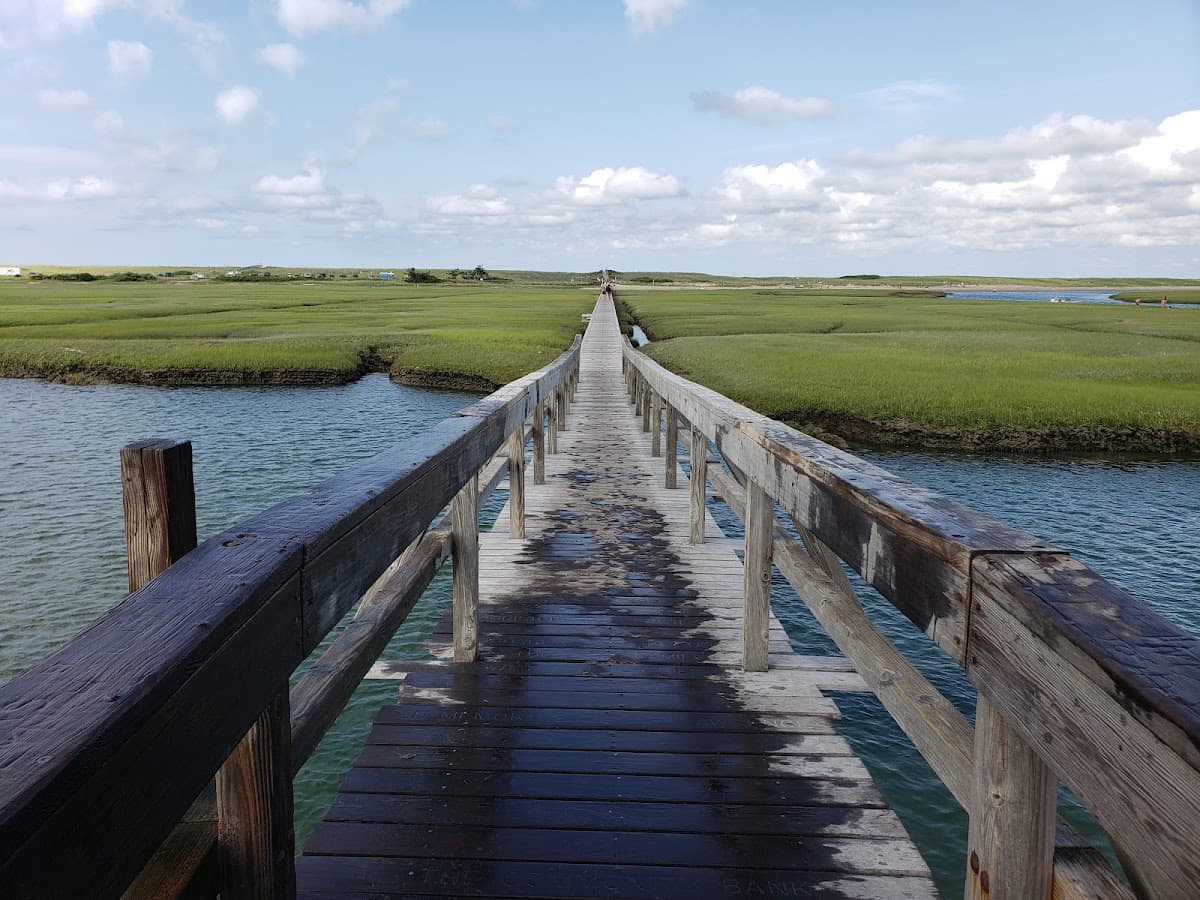 Town Neck Beach — photo 1