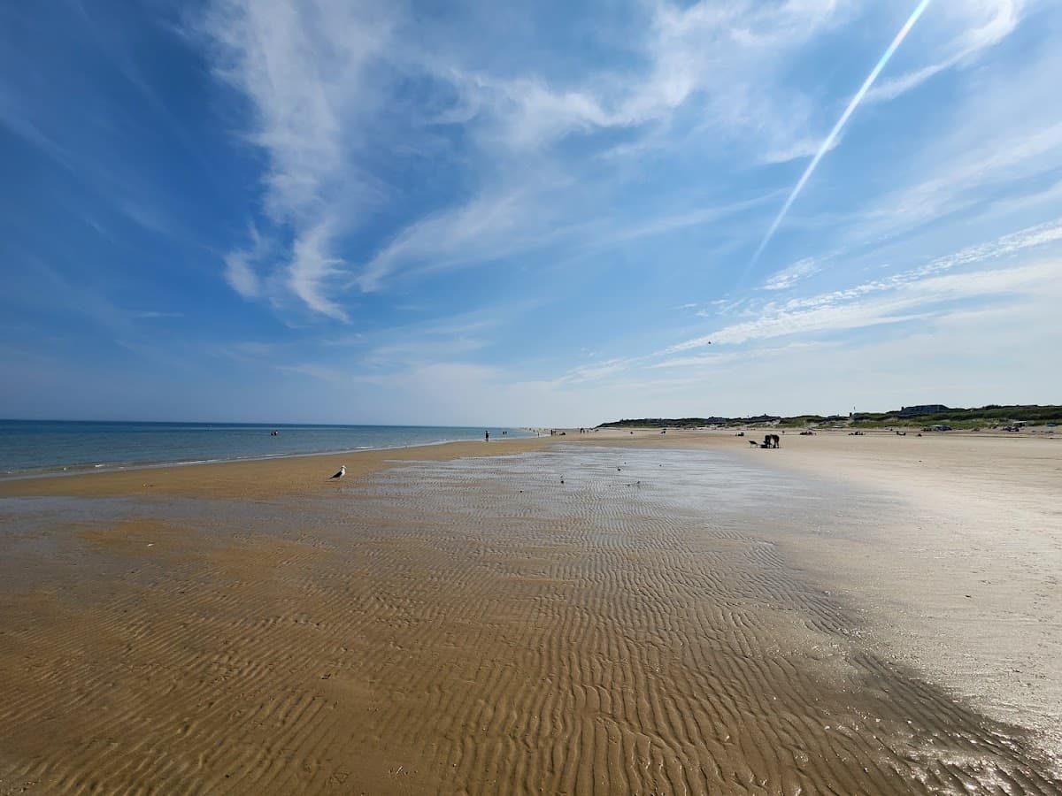 Cold Storage Beach beach in Dennis, Massachusetts